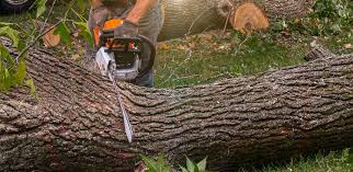 Best Lawn Drainage Solutions  in Tooele, UT