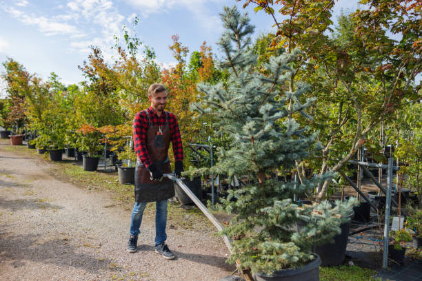 Best Lawn Watering Services  in Tooele, UT